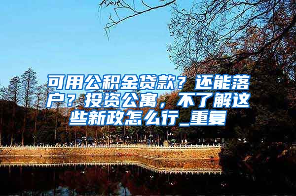 可用公积金贷款？还能落户？投资公寓，不了解这些新政怎么行_重复