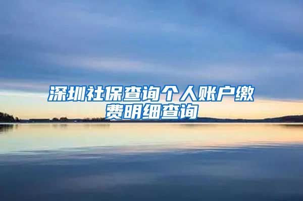 深圳社保查询个人账户缴费明细查询