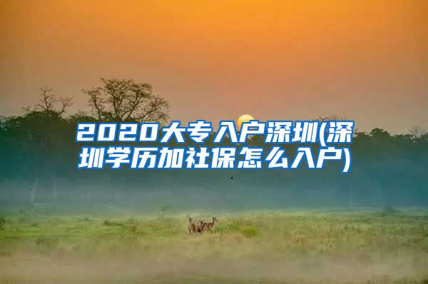 2020大专入户深圳(深圳学历加社保怎么入户)