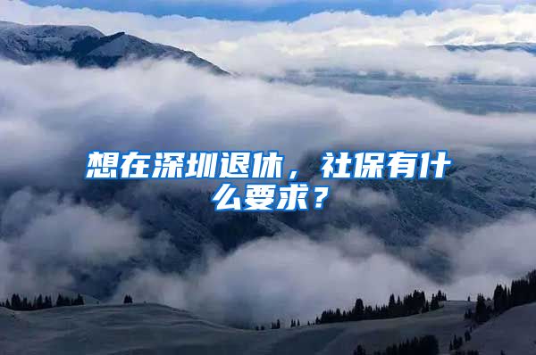 想在深圳退休，社保有什么要求？