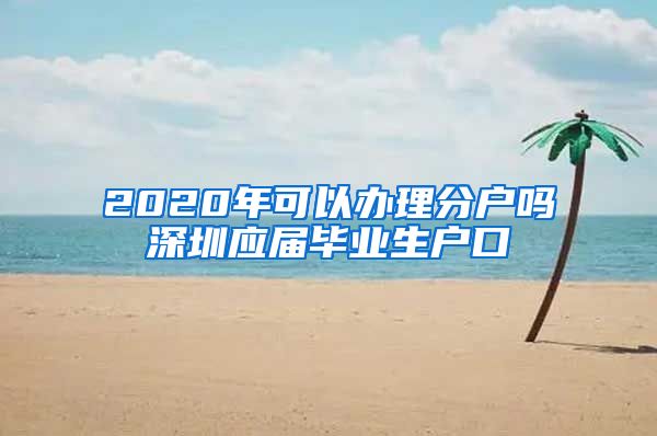 2020年可以办理分户吗深圳应届毕业生户口