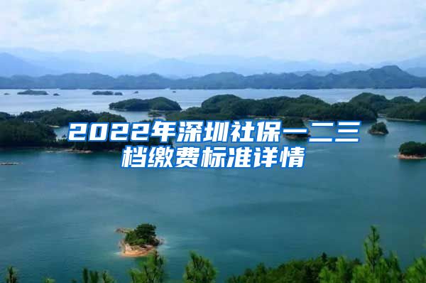 2022年深圳社保一二三档缴费标准详情