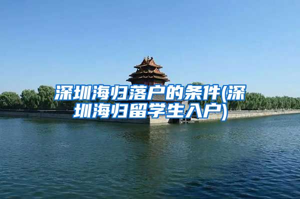 深圳海归落户的条件(深圳海归留学生入户)