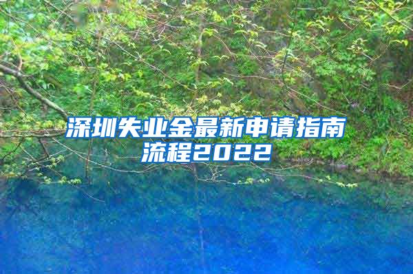 深圳失业金最新申请指南流程2022