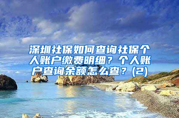 深圳社保如何查询社保个人账户缴费明细？个人账户查询余额怎么查？(2)