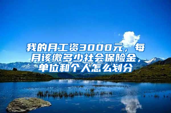 我的月工资3000元，每月该缴多少社会保险金，单位和个人怎么划分