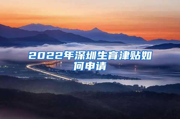 2022年深圳生育津贴如何申请