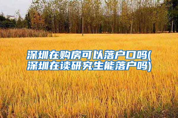 深圳在购房可以落户口吗(深圳在读研究生能落户吗)