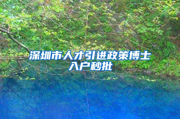 深圳市人才引进政策博士入户秒批