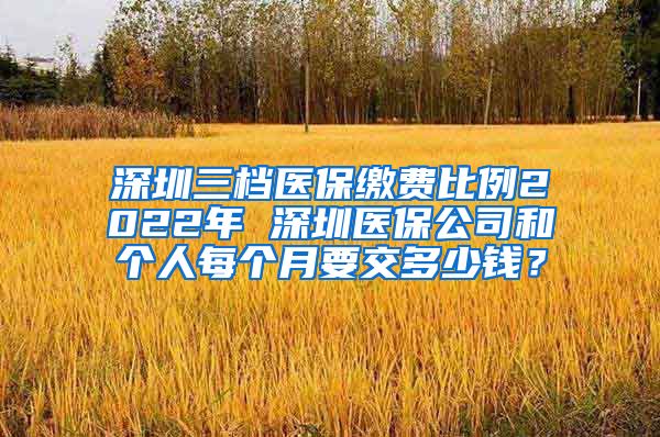 深圳三档医保缴费比例2022年 深圳医保公司和个人每个月要交多少钱？