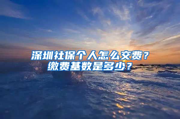 深圳社保个人怎么交费？缴费基数是多少？