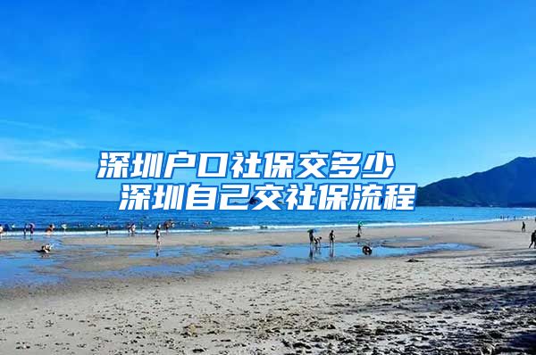 深圳户口社保交多少  深圳自己交社保流程