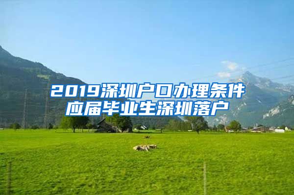 2019深圳户口办理条件应届毕业生深圳落户