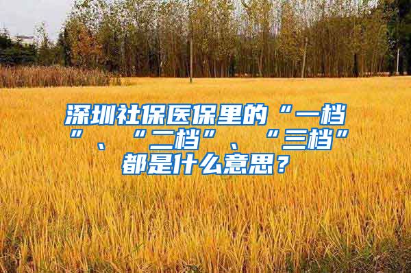 深圳社保医保里的“一档”、“二档”、“三档”都是什么意思？