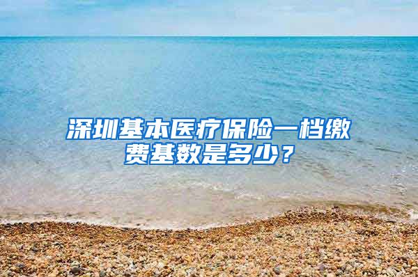 深圳基本医疗保险一档缴费基数是多少？