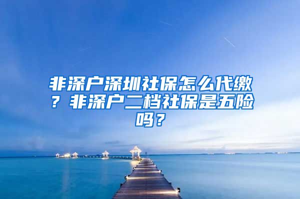 非深户深圳社保怎么代缴？非深户二档社保是五险吗？