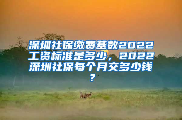 深圳社保缴费基数2022工资标准是多少，2022深圳社保每个月交多少钱？