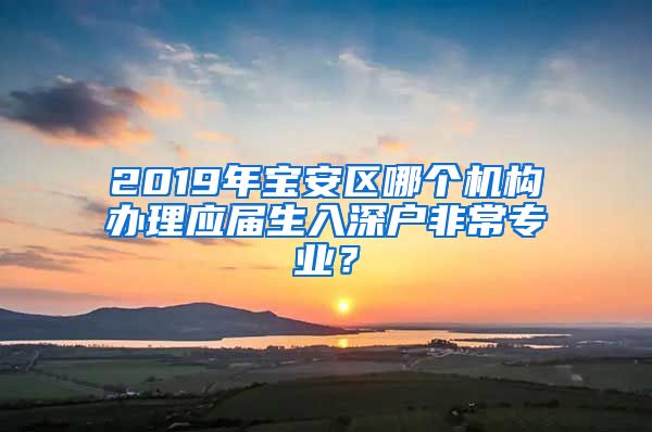 2019年宝安区哪个机构办理应届生入深户非常专业？