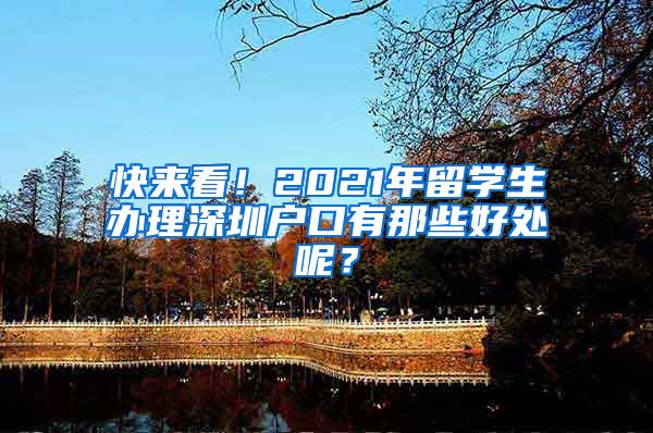 快来看！2021年留学生办理深圳户口有那些好处呢？