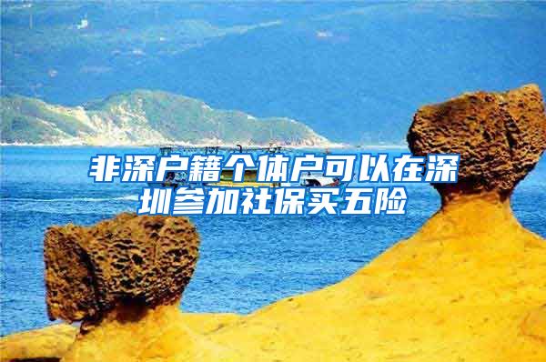 非深户籍个体户可以在深圳参加社保买五险