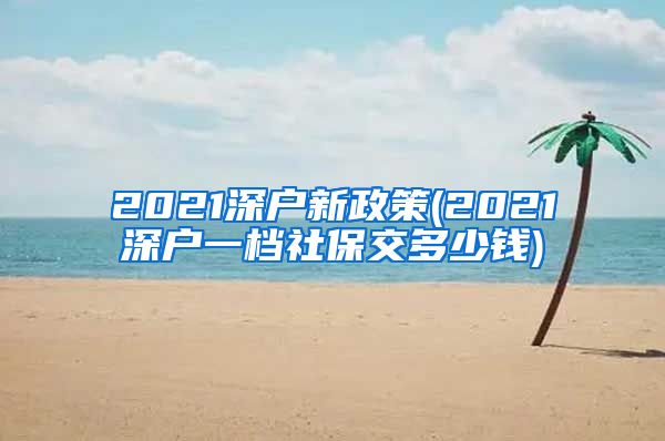 2021深户新政策(2021深户一档社保交多少钱)