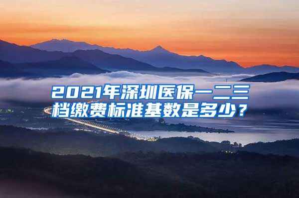 2021年深圳医保一二三档缴费标准基数是多少？