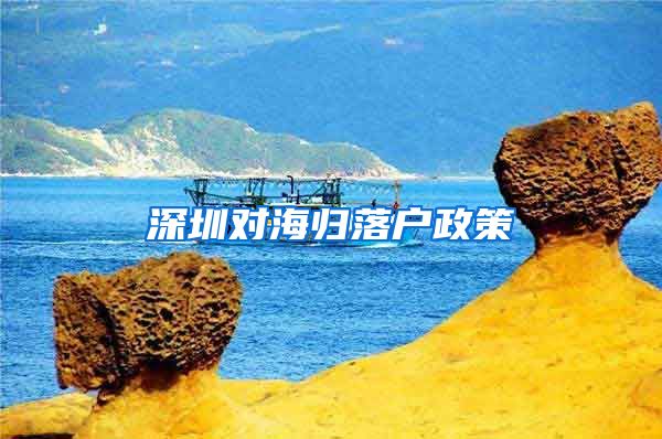 深圳对海归落户政策