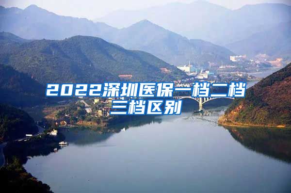 2022深圳医保一档二档三档区别