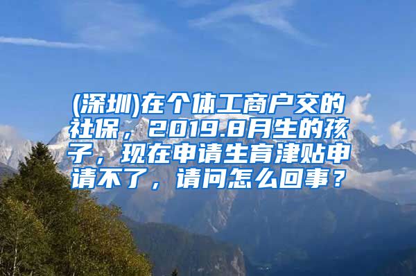 (深圳)在个体工商户交的社保，2019.8月生的孩子，现在申请生育津贴申请不了，请问怎么回事？