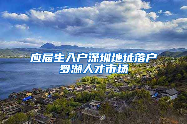 应届生入户深圳地址落户罗湖人才市场