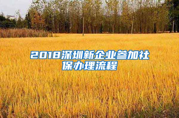 2018深圳新企业参加社保办理流程