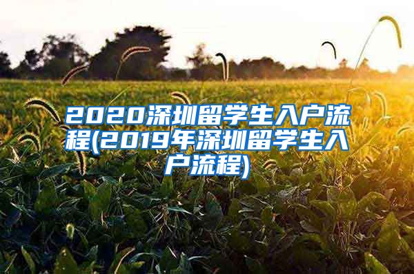 2020深圳留学生入户流程(2019年深圳留学生入户流程)