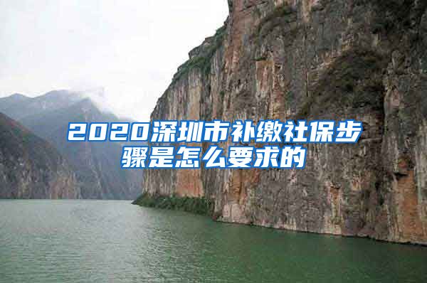 2020深圳市补缴社保步骤是怎么要求的