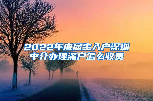 2022年应届生入户深圳中介办理深户怎么收费
