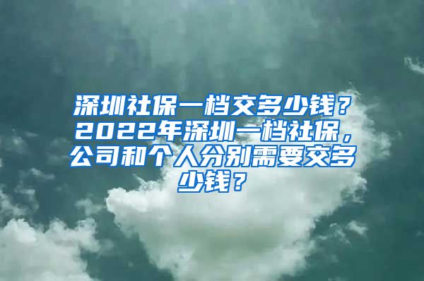 深圳社保一档交多少钱？2022年深圳一档社保，公司和个人分别需要交多少钱？