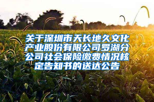 关于深圳市天长地久文化产业股份有限公司罗湖分公司社会保险缴费情况核定告知书的送达公告