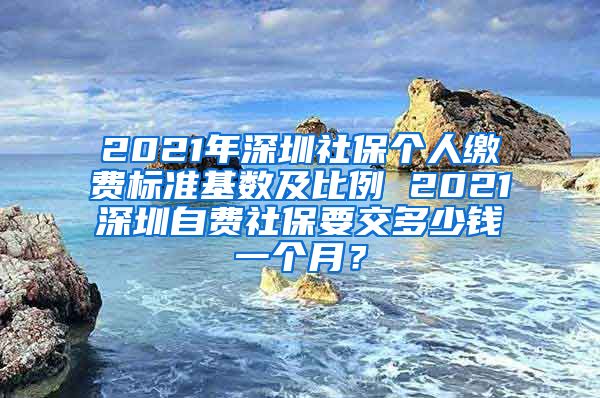 2021年深圳社保个人缴费标准基数及比例 2021深圳自费社保要交多少钱一个月？