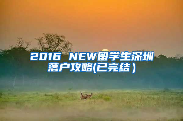 2016 NEW留学生深圳落户攻略(已完结）