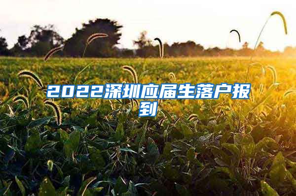 2022深圳应届生落户报到