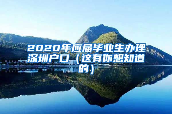 2020年应届毕业生办理深圳户口（这有你想知道的）