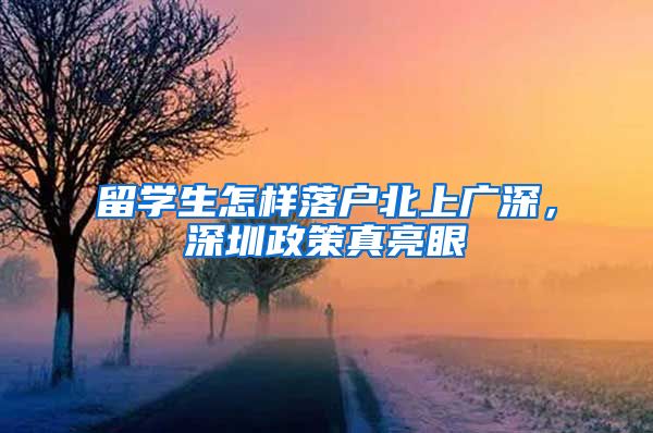 留学生怎样落户北上广深，深圳政策真亮眼