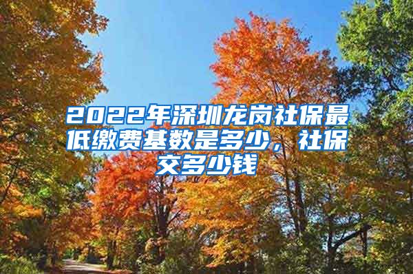 2022年深圳龙岗社保最低缴费基数是多少，社保交多少钱