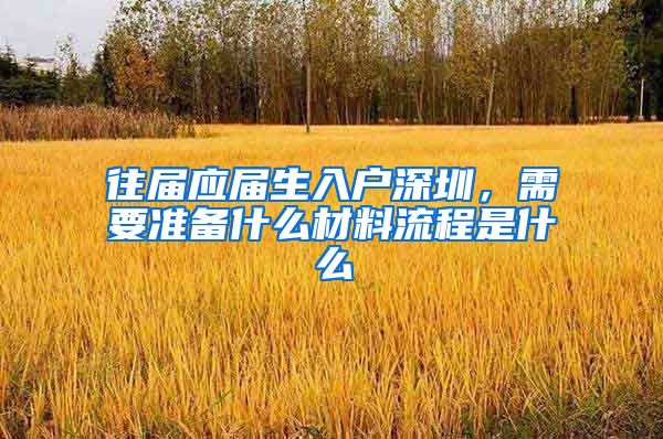 往届应届生入户深圳，需要准备什么材料流程是什么