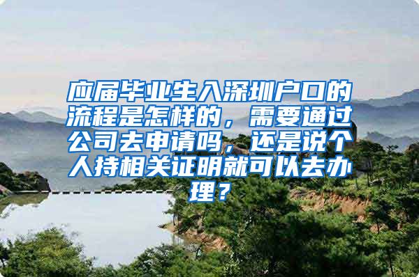 应届毕业生入深圳户口的流程是怎样的，需要通过公司去申请吗，还是说个人持相关证明就可以去办理？