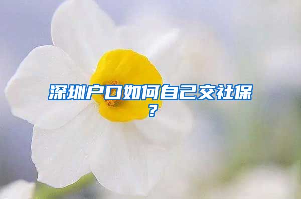 深圳户口如何自己交社保？