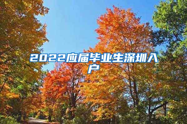 2022应届毕业生深圳入户