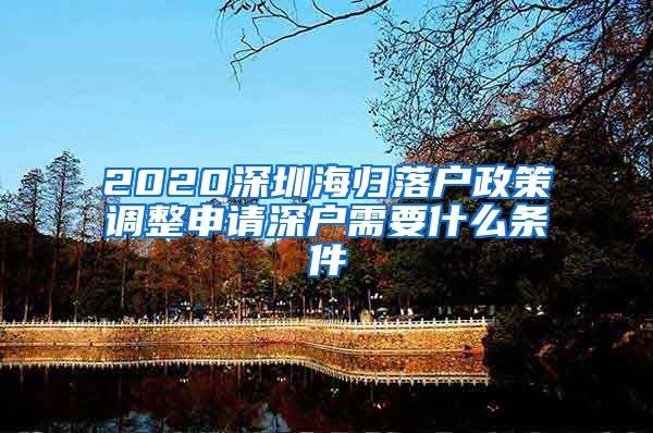 2020深圳海归落户政策调整申请深户需要什么条件