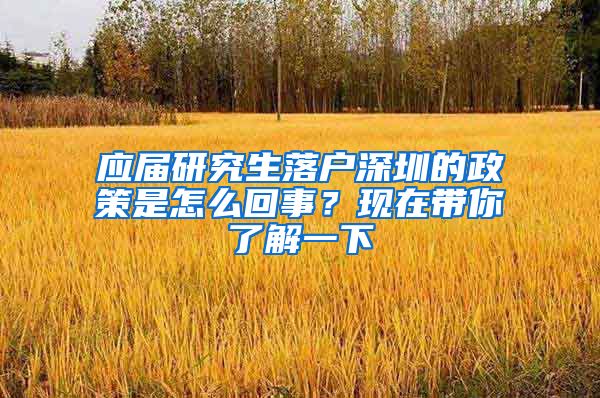 应届研究生落户深圳的政策是怎么回事？现在带你了解一下