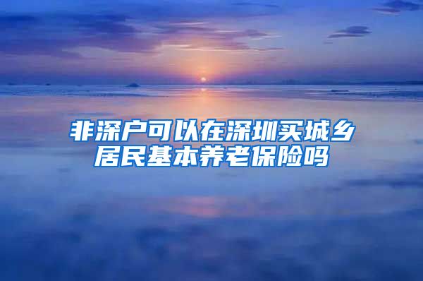 非深户可以在深圳买城乡居民基本养老保险吗