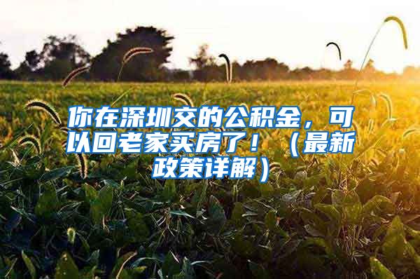 你在深圳交的公积金，可以回老家买房了！（最新政策详解）